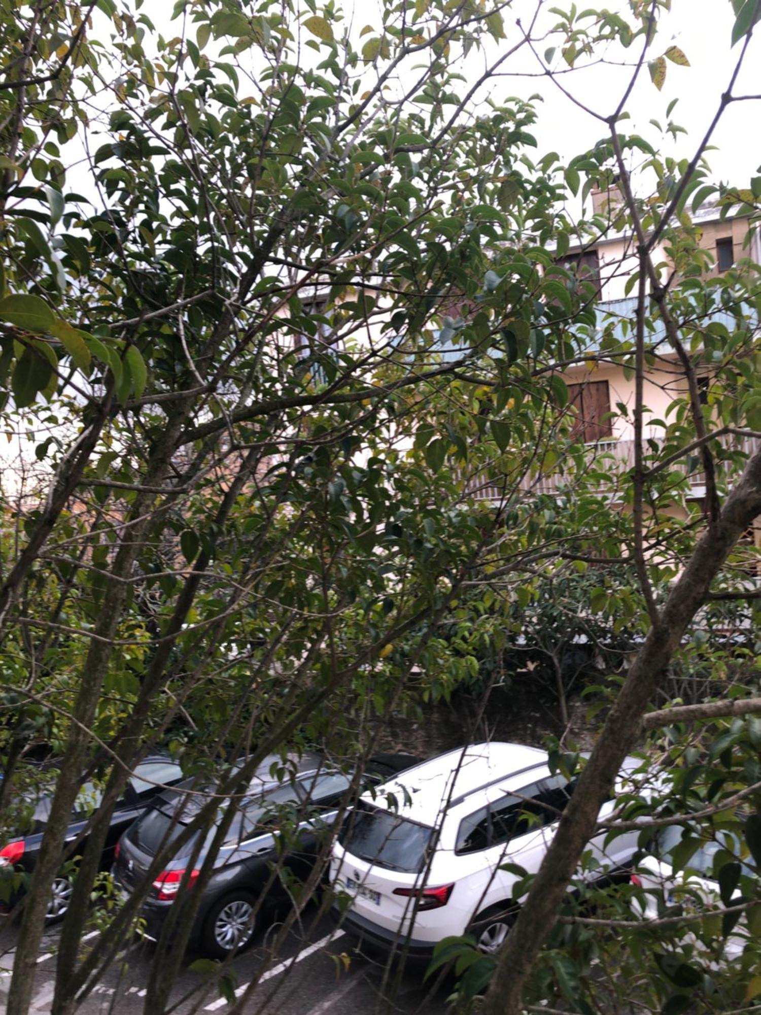 Logement Promenade De La Torse A エクス＝アン＝プロヴァンス エクステリア 写真